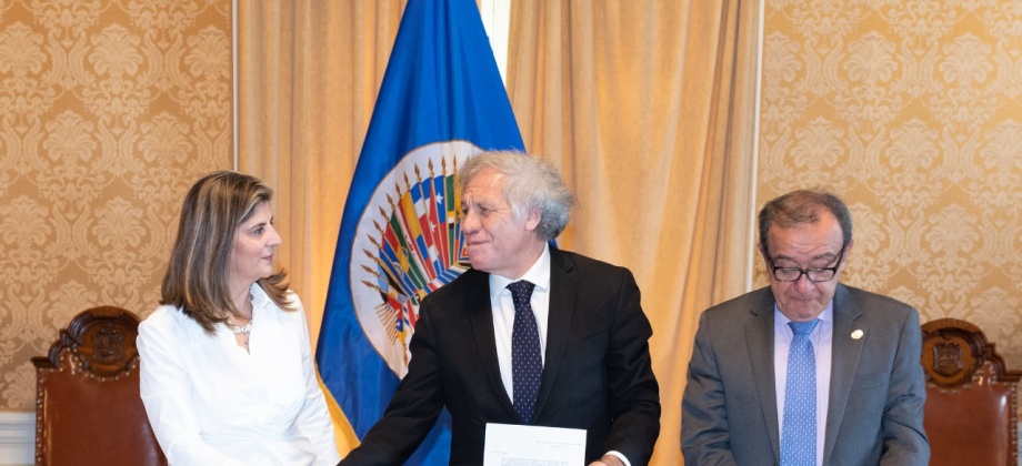 Viceministra Laura Gil oficializó ante el Secretario General de la OEA la adhesión de Colombia a la Convención Interamericana sobre la Protección de los Derechos de las Personas Mayores