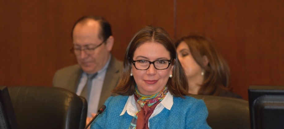 En el Consejo Permanente de la OEA, Colombia presentó el tema de la próxima Asamblea de este organismo en Medellín: Innovando para Fortalecer el Multilateralismo Hemisférico