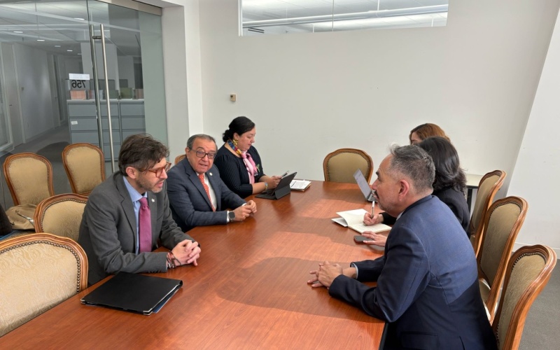 Encuentro con el presidente de la Comisión Interamericana de Derechos Humanos