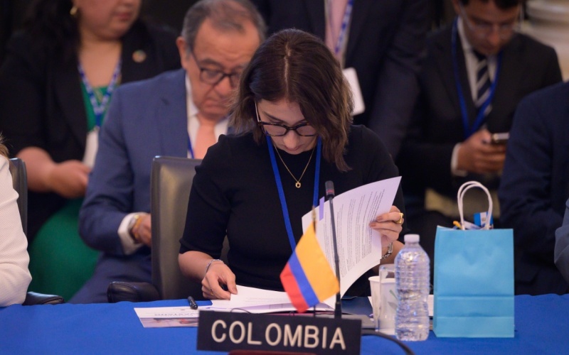 "La OEA ha marcado un hito histórico al elegir por primera vez a una mujer para ocupar la Secretaría General Adjunta", aseguró la Canciller Laura Sarabia