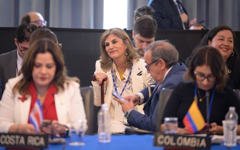 "La OEA ha marcado un hito histórico al elegir por primera vez a una mujer para ocupar la Secretaría General Adjunta", aseguró la Canciller Laura Sarabia