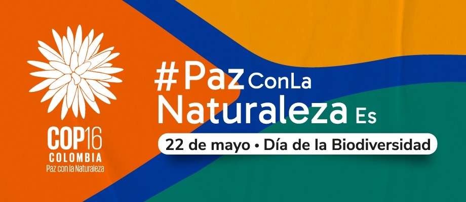 El País de la Belleza conmemora el Día de la Diversidad Biológica y celebra la COP de la gente, la COP de las regiones El País de la Belleza conmemora el Día de la Diversidad Biológica y celebra la COP de la gente, la COP de las regiones